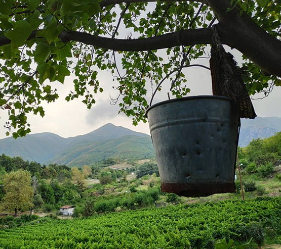 Δαλαμάρι